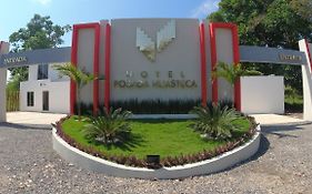 Hotel Posada Huasteca